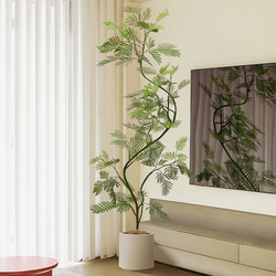 Artificial Green Plant Jacaranda Potted Plant Indoor Large Dense-Leaf Monkey Earring Fake Plant Living Room Floor Decoration Ornament