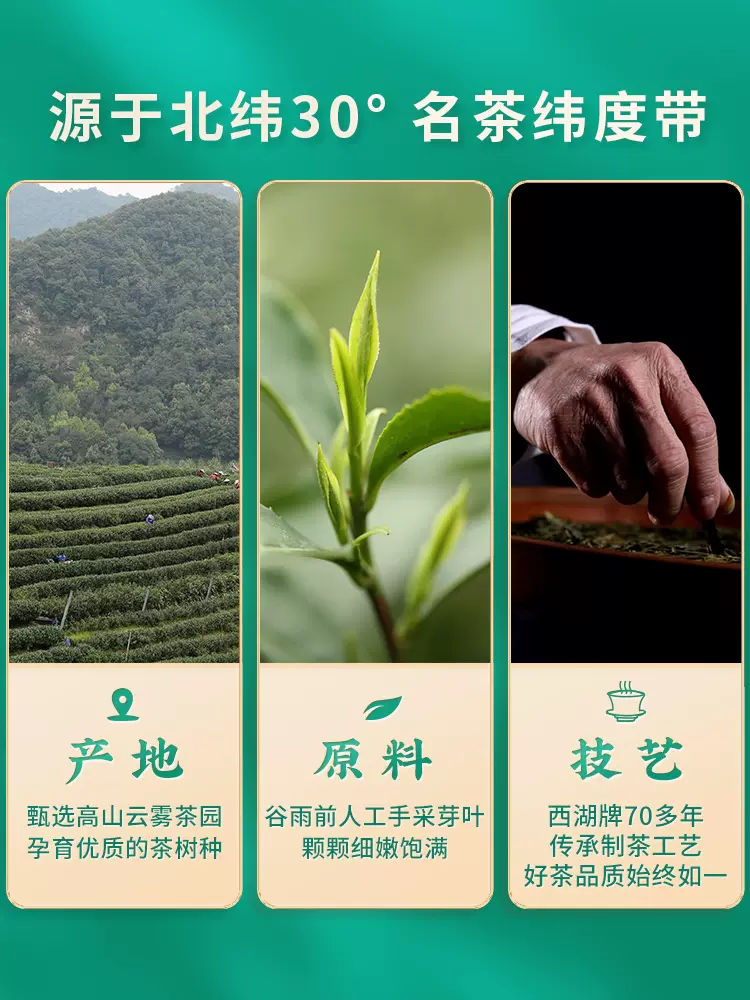 2023新茶西湖牌雨前浓香龙井茶200g春茶绿茶茶叶