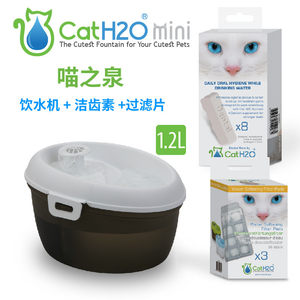 
Pet smart equipment cat automatic water dispenser intelligent mute water dispenser tooth cleaning plastic active water dispenser