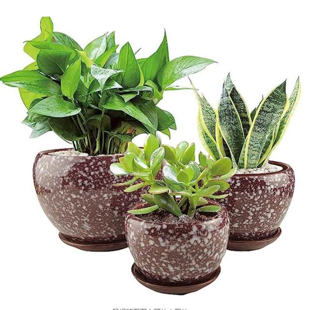 Kiln-shaped succulent flower pot modern home gardening copywriting ceramic pot large simple desktop decoration