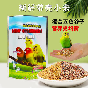 Parrot grain yellow grain/bird grain bird food/shelled millet literary bird tiger skin black phoenix peony/bulk 5*0.5kg free shipping