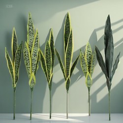 Simulated Tiger Orchid Single Branch Indoor Landscaping Crown Orchid Agave Scandinavian Floor Decoration Simulated Green Plant 4-5 Leaves