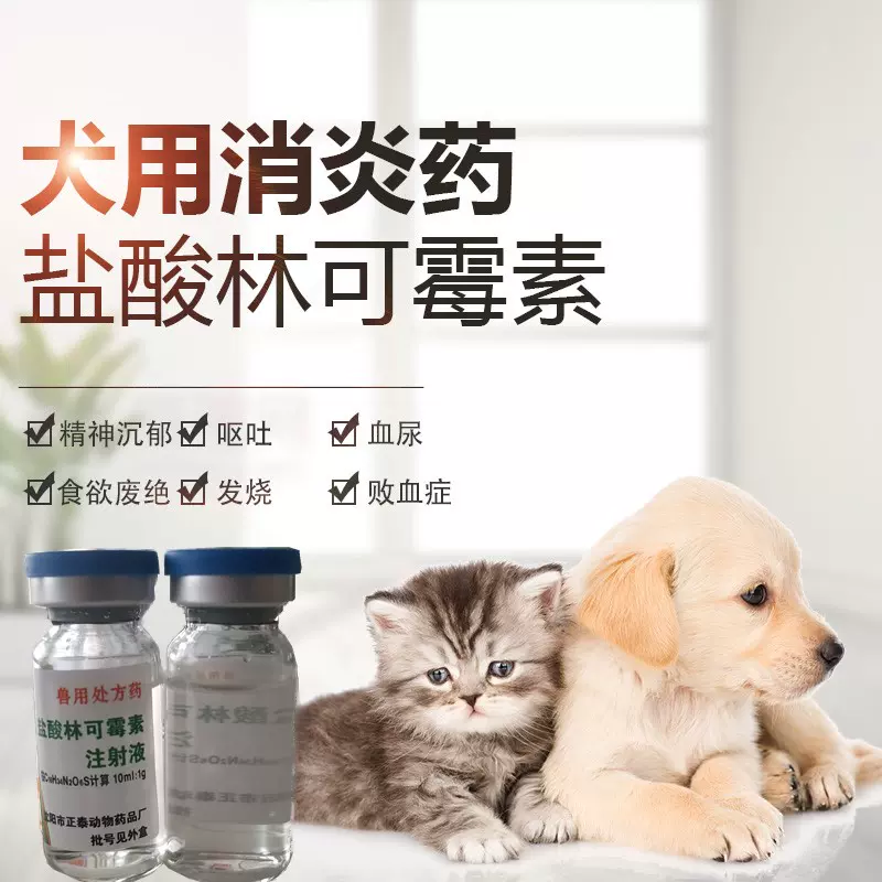 宠物盐酸林可霉素猫鼻支狗感冒产后犬脓皮症