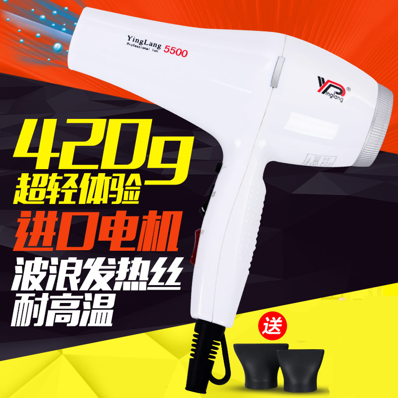 YINGLANG  ̾ ̿     2200W  ӰǼ ÿ  Ǹ YL5500-