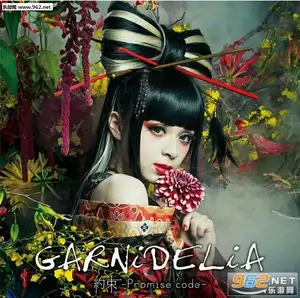 garnidelia - Top 100件garnidelia - 2024年5月更新- Taobao