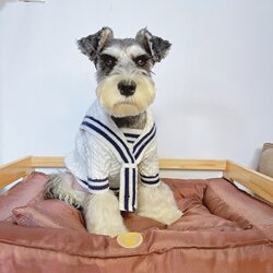 Pet Clothes for Dogs and Cats, Teddy Navy Style Knitted Sweater, Schnauzer, Bichon, Teddy Factory Wholesale in Stock