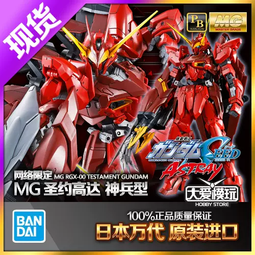 限定 MG 1/100 ZGMF-X12A/RGX-00 テスタメントガンダム 機動戦士