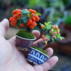 Korean Pyracantha Bonsai Sketch: Palm Treasure with Fruit