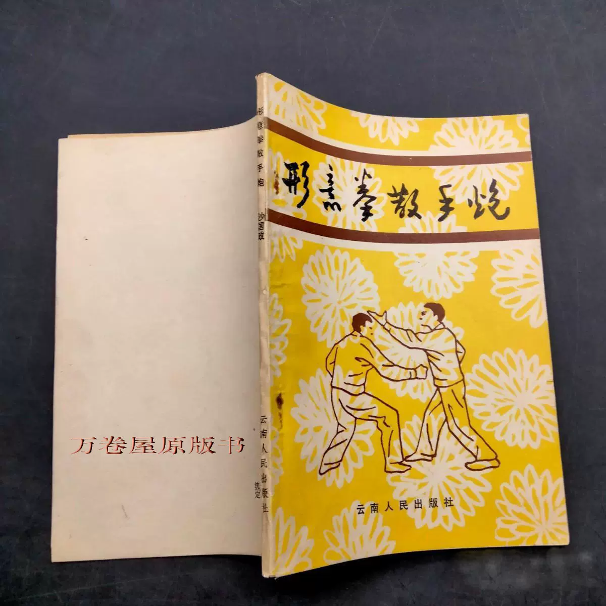 【中国武術】形意拳散手炮　沙国政 形意拳散手炮按图发货沙国政武术强身健体武功秘籍原版旧书