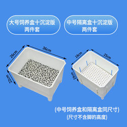 Liming plays turtle breeding box precipitation board with beautiful hair color