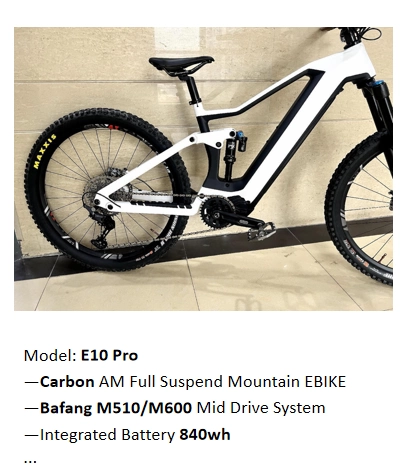 ROCKCAN E10PRO碳纖維軟尾山地車16吋高配840wh電池紅色車架