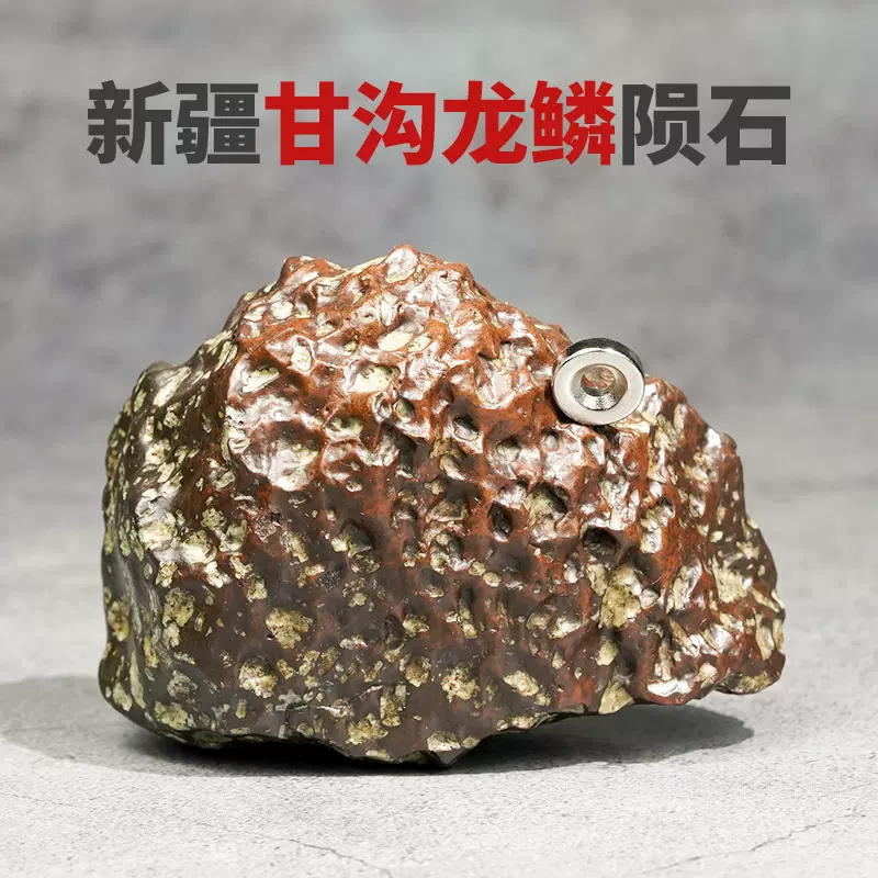 新疆天然甘溝龍鱗隕石原石把件擺件強磁保真月球隕石標本正品收藏-Taobao
