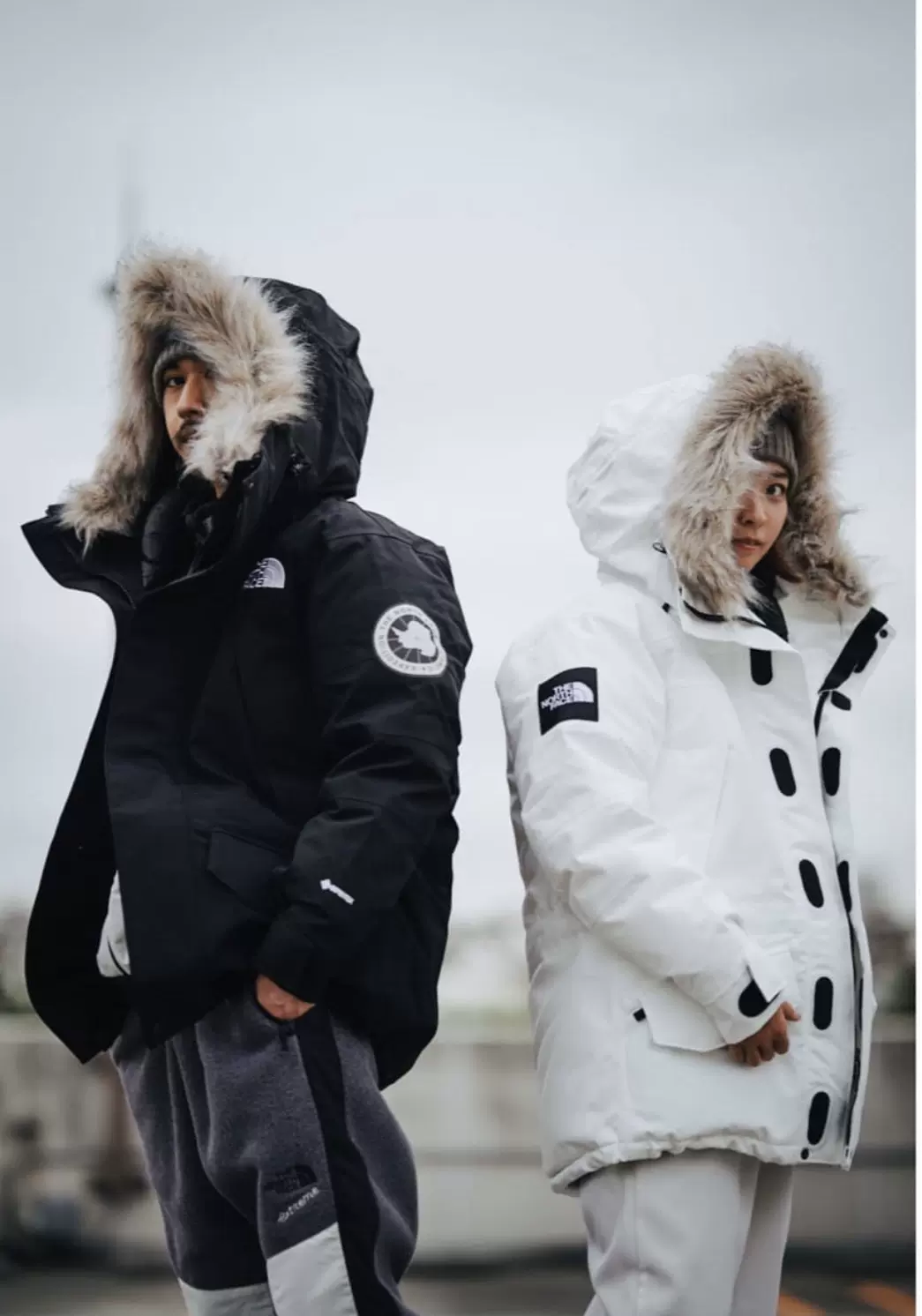The North Face Antarctica Parka 日版北面极地羽绒服超保暖-Taobao