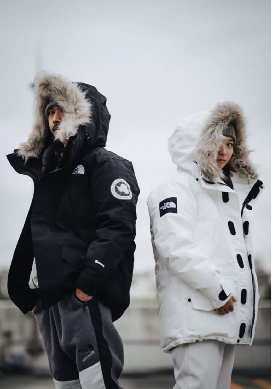 通販卸問屋 The North Face Antarctica Parka | cohk.org.hk