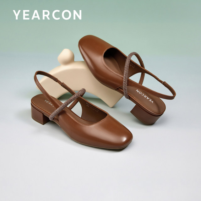 Yierkang Baotou Sandals for Women 2025 Spring and Summer New Women's Shoes French Thick Heels Mary Zhen High Heels Single Shoes Women