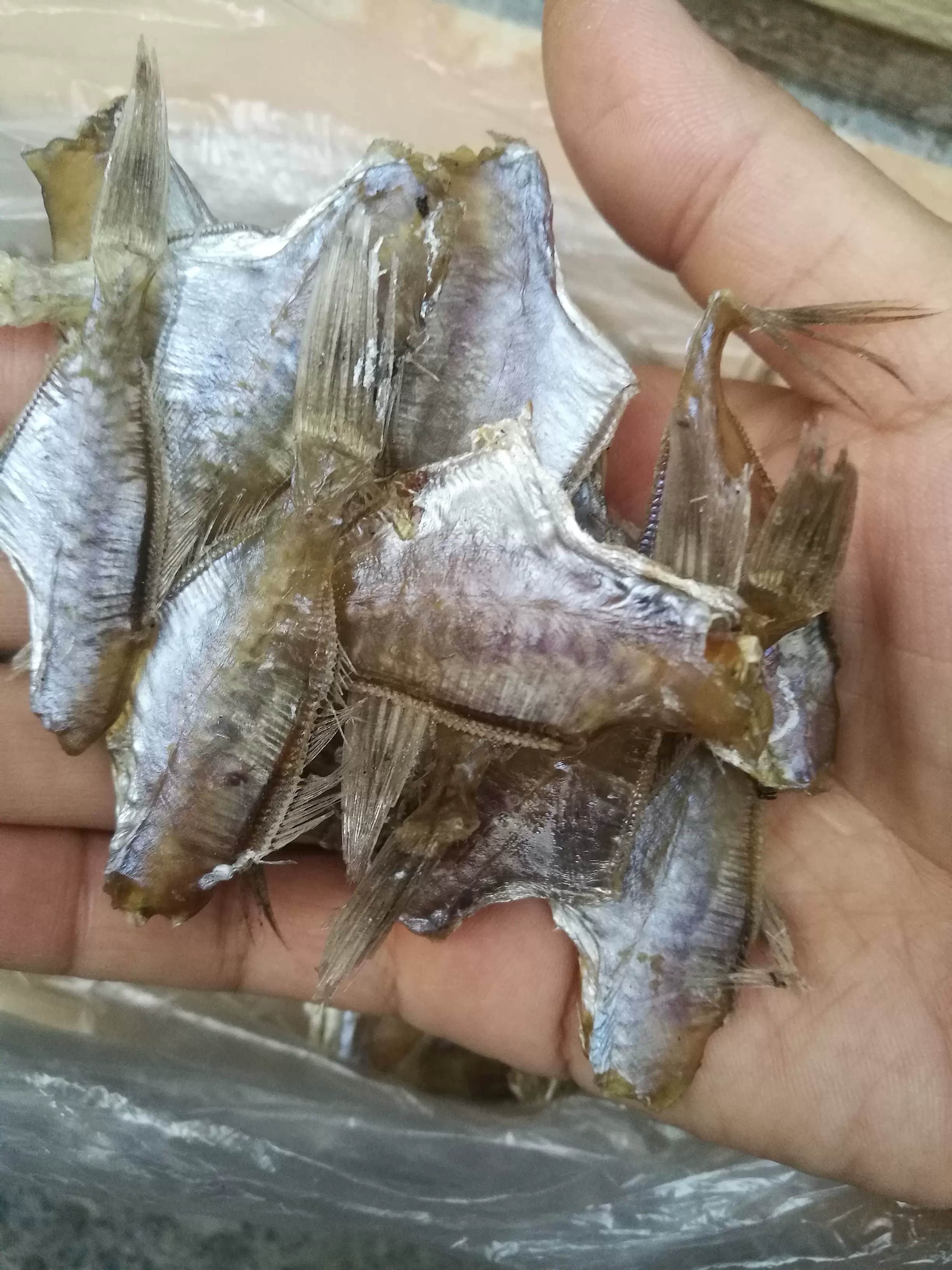 洋魚乾 馬面魚乾 馬面魚片 迪仔魚乾 剝皮牛魚乾500克生曬淡味