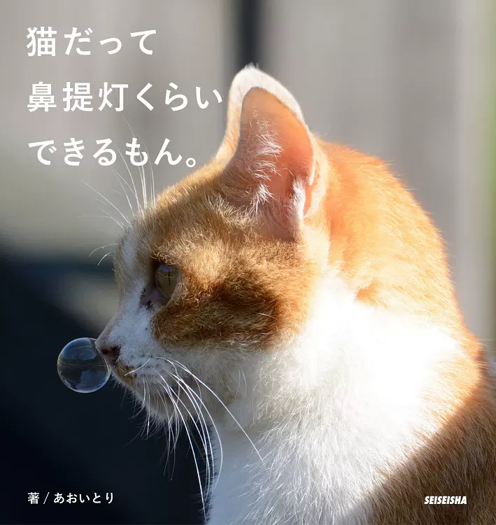 日版猫だって鼻提灯くらいできるもん 猫写真摄影集写真集