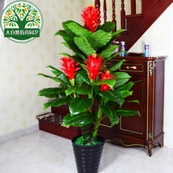 Artificial Potted Plant, Good Luck in Life, Large Living Room Artificial Tree, Simulated Tree, Indoor Decorative Flower, Floor-Standing Home Bonsai, Green Plant