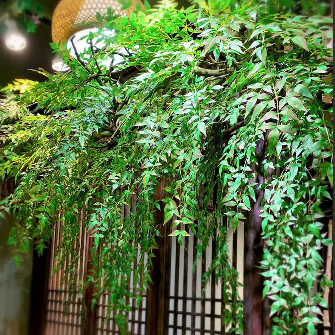 仿真南天竹壁挂植物墙面造景爬藤悬挂绿植藤条