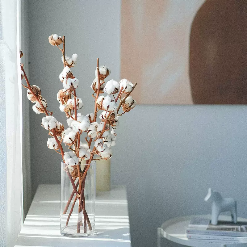 進口棉花乾燥花花束真花天然植物插花瓶北歐風裝飾擺 進口棉花乾燥花花束真花天然植物插花瓶北歐風裝飾擺