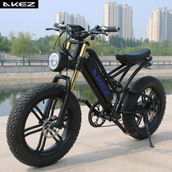 Electric bicycle 48V18ah750W strong power high endurance battery car off-road electric mountain bike can be licensed