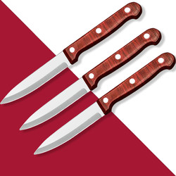 Household Stainless Steel Peeling Knife for Cutting Fruits, Student Dormitory Fruit and Vegetable Knife, Peeling Knife, Kitchen Sharp Multi-Functional Knife