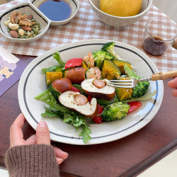 Japanese fat-reduced plate oval plate rice bowl dish plate tableware