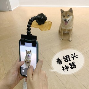 
Cat and dog pet selfie device for taking photos, inducing to look at the camera, food clip, mobile phone holder toy