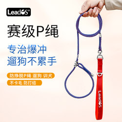 Dog Leash P-Lead for Training, Anti-Pull, Knot-Free, Gentle on Hands, Suitable for Small, Medium, and Large Dogs, Outdoor P-Chain