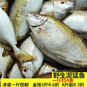 泥猛鱼- Top 100件泥猛鱼- 2024年4月更新- Taobao