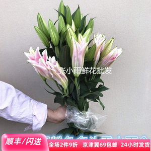 
Perfume Lily Large Pink Lily Northeast Lily Base Direct Supply Spring Festival Home Office Display Flowers SF