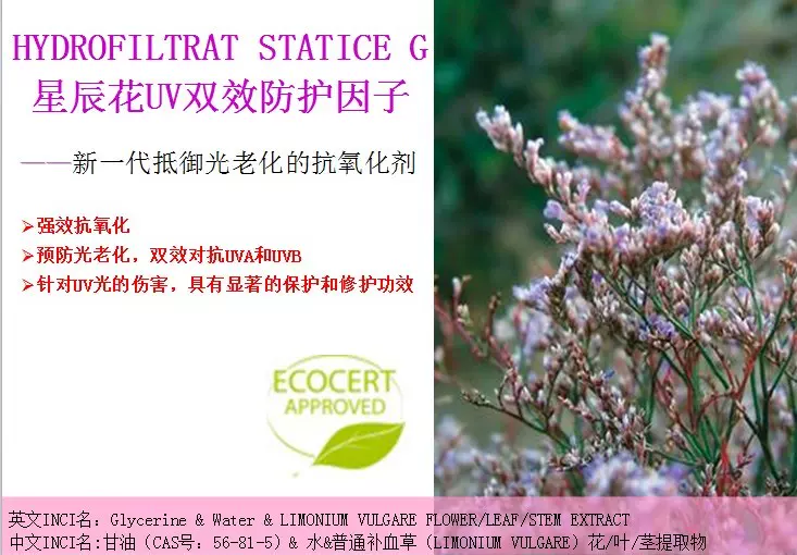 星辰花植物双效防护因子抗氧化抵御紫外线uva和uvb 晒护肤原料