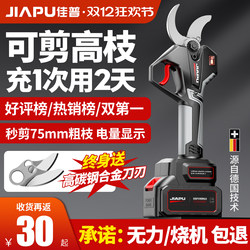 Electric Scissors, Rechargeable Powerful Garden and Fruit Tree Pruning Shears, Lithium Battery Branch Cutter, Electric Pruner, Pruning Tool