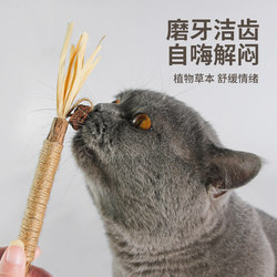 Cat Teething Stick, Cat Toy, Wood Catnip Teaser Stick, Cat Toy for Self-Entertainment and Boredom Relief, Kitten Supplies, Special for Young Cats