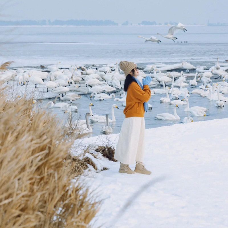 秦皇岛+北戴河+乌兰布统+金山岭长城+小布达拉宫6日5晚8人拼团
