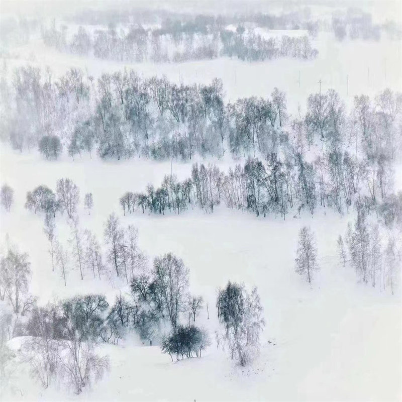 性价比之王丨乌兰布统+木兰围场2日1晚跟团游·正餐全含