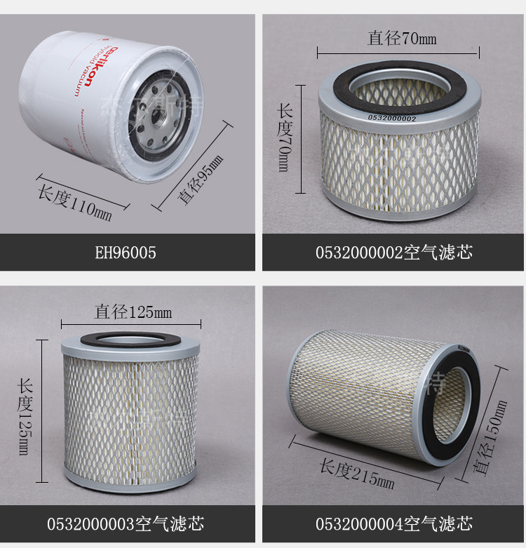 Riparazione Leybold D 8 B – Riparazione Pompe Per Vuoto - Foto 4