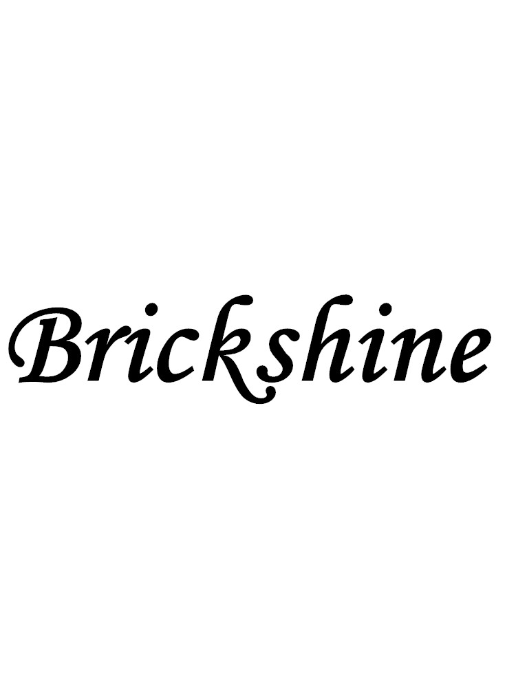 Brickshine泰姬陵积木玩具