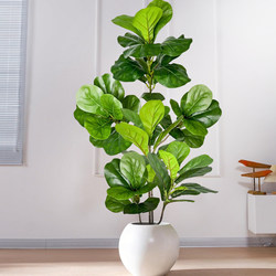 Artificial Ficus Lyrata Rubber Tree Plant Branches for Decoration, Wholesale for Indoor Use, Nordic Light Luxury Decor