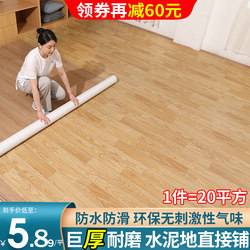 Carpet for Bedroom and Living Room, Large Area, Full Coverage, Household Plastic Waterproof and Moisture-Proof Pvc Leather, Thickened, Washable Floor Mat, Ins Style