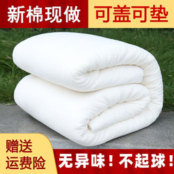Thickened Single-Person Bedding for Student Dormitory, Cotton Quilt for Home Use, Cotton Mattress Pad