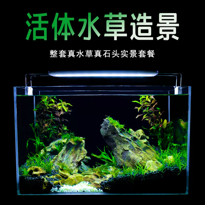 真水草鱼缸水族箱小型客厅办公室桌面家用生态草缸装饰布造