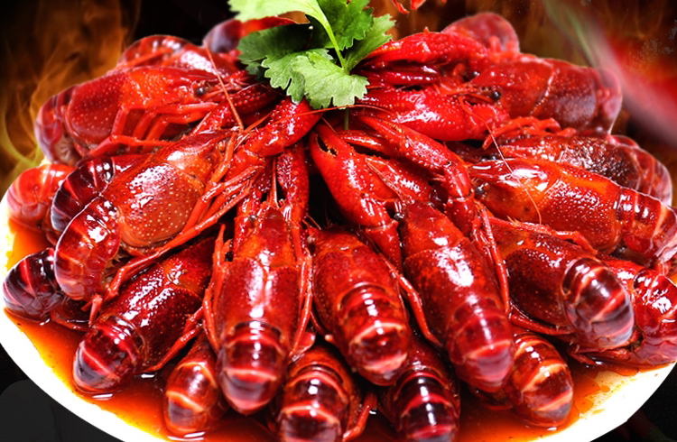 城市工作压力大，晚上来点肉食下酒解解忧(图4)