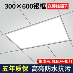 Kitchen Ceiling Light 30X60 Ceiling Aluminum Panel Light Integrated Ceiling Light Panel Light Kitchen and Bathroom Light 300X600