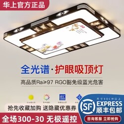 2025 New Led Ceiling Lamp Room Bedroom Lamp Living Room Lamp Hall Modern Simple Atmospheric Zhongshan Lamps