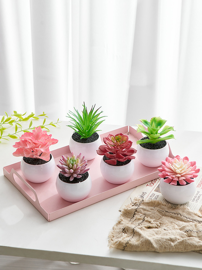 Reveal the Past Artificial Succulents - Small Plastic Plants for Home &  Office Decor