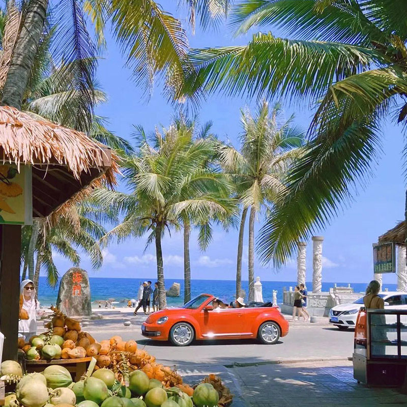 2-6人团海口文昌万宁旅游5天4晚跟团游纯玩0自费私家团东郊椰林