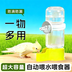 Parrot Automatic Water Dispenser Bird Feeder Double-Purpose Food and Water Feeder for Budgerigars and Cockatiels New Large Capacity Model