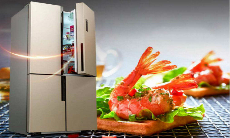 冰爽一夏超实用健康冰箱热浪来袭