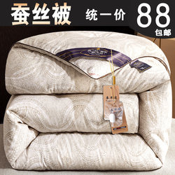 Thickened Silk Quilt, Winter Quilt, Silk Cotton Quilt Core, Warm Winter Quilt, Double Spring and Autumn Quilt, Air Conditioning Quilt, All-Cotton Winter Quilt